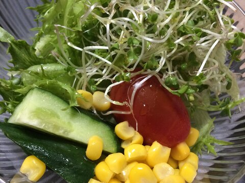 朝食用サラダ☆2021.07.11